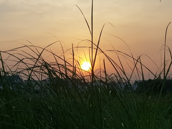  盧정부 노동장관 김대환-이상수 文정부
