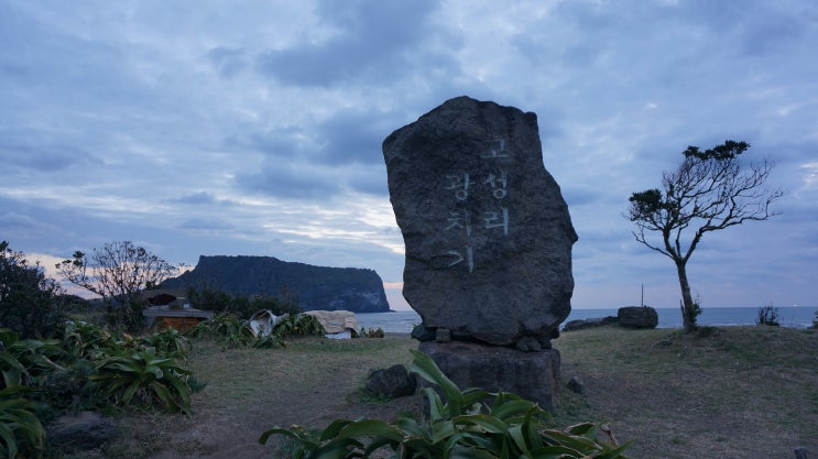  광치기해변 / 유채꽃 / 목장 / 성산일출봉 / 스타벅스성산일출봉