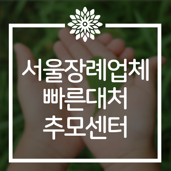  서울장례업체 긴급할때 빠른대처 추모센터