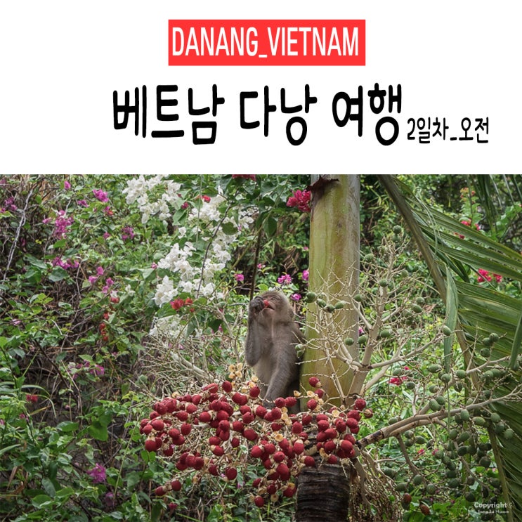  <다낭&호이안/베트남> +2Day 오전. 사진으로 쓰는 여행일기(여행일정,이동경로,여행정보)