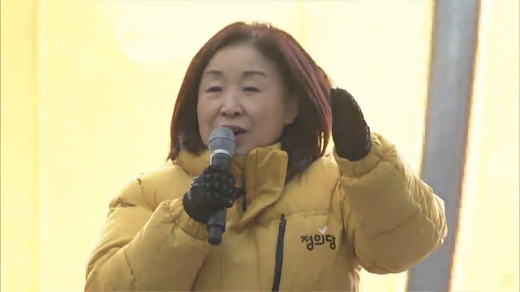  심상정 정개특위위원장, 1215 불꽃집회 발언