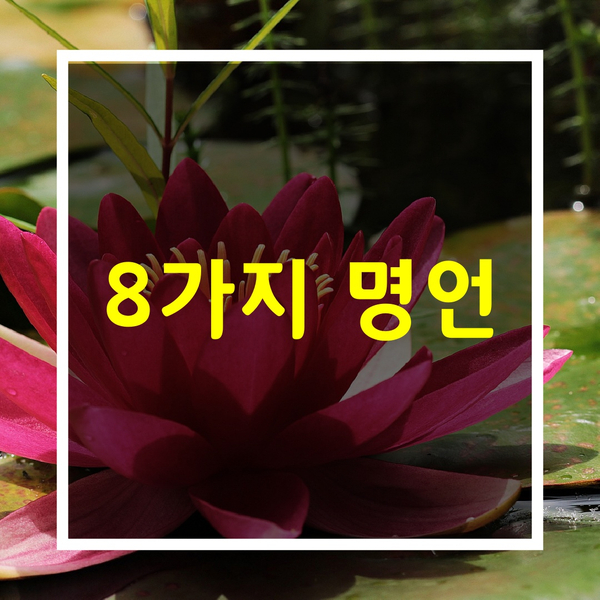  감동적인 글 [8가지 명언]