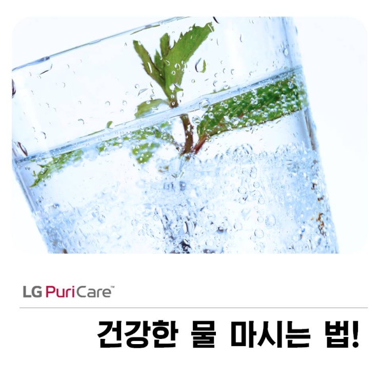  건강한 물 마시는 법! LG퓨리케어에서 알려드려요~