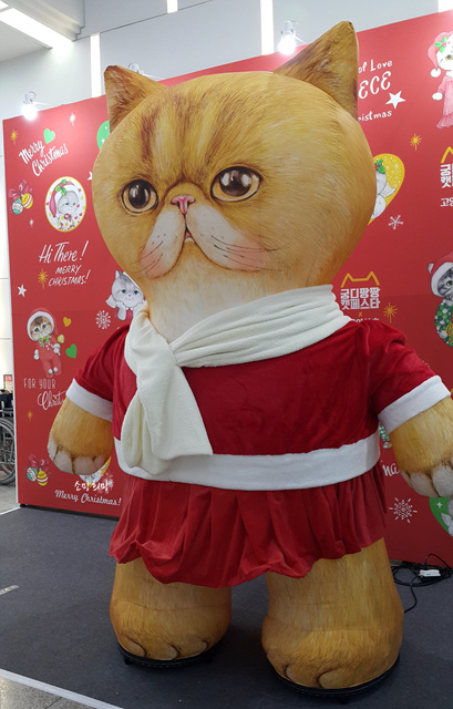  ** 9회 궁디팡팡 캣페스타 꼼꼼한 후기 ** 고양이용품박람회