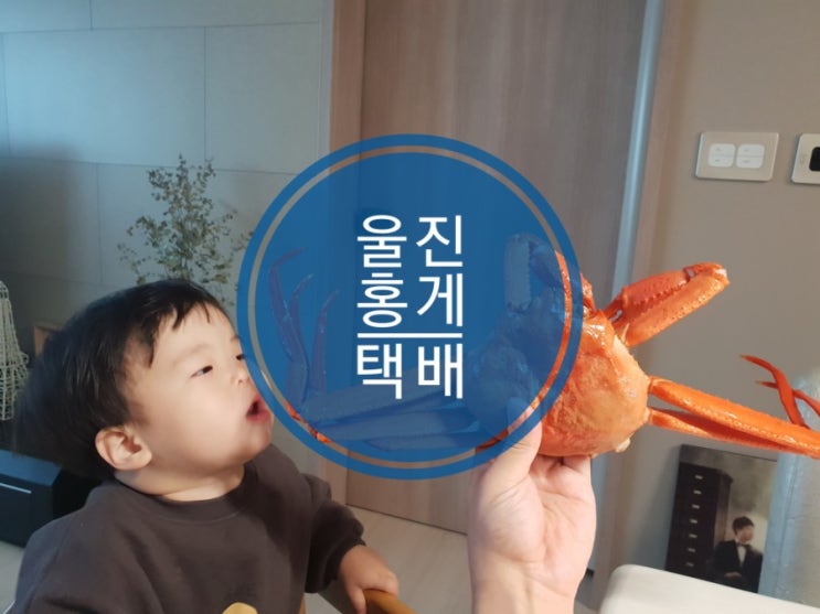 홍게 택배 푸짐하고 싼곳 울진 후포리 맛집 대게좋아 홍게 택배 푸짐하고 싼곳 울진 후포리 맛집 대게좋아