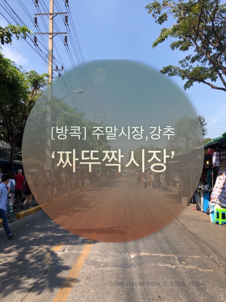  [방콕] 가면 무조건 여기서 구매! 주말시장 짜뚜짝