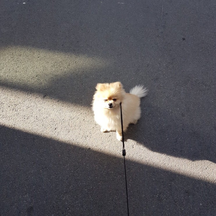  ~12/15