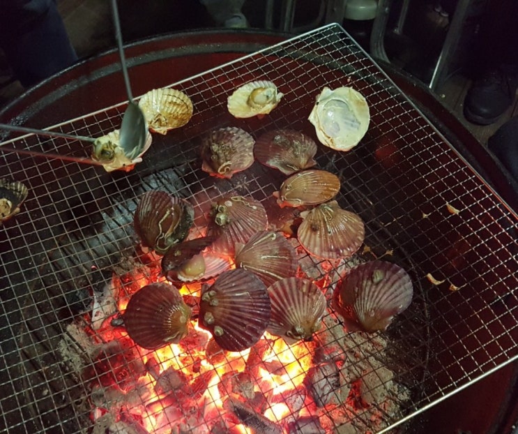  어제에 이은 비토섬 후기