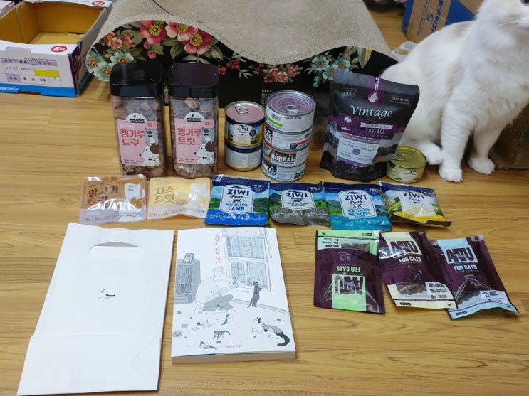  궁디팡팡 캣페스타 2018 겨울 18.12.16