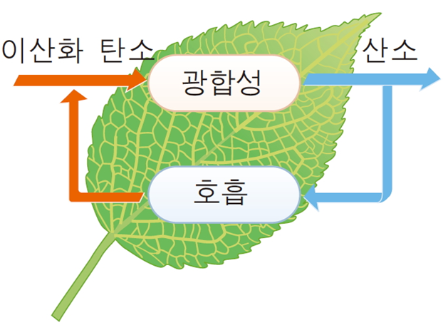  에너지 보존 법칙