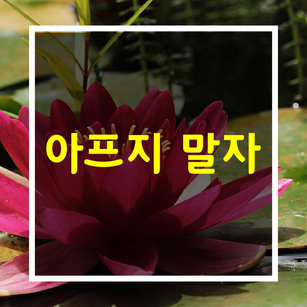  인생이 힘들때[아프지 말자]