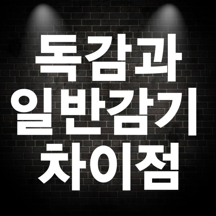  독감과 일반감기의 차이