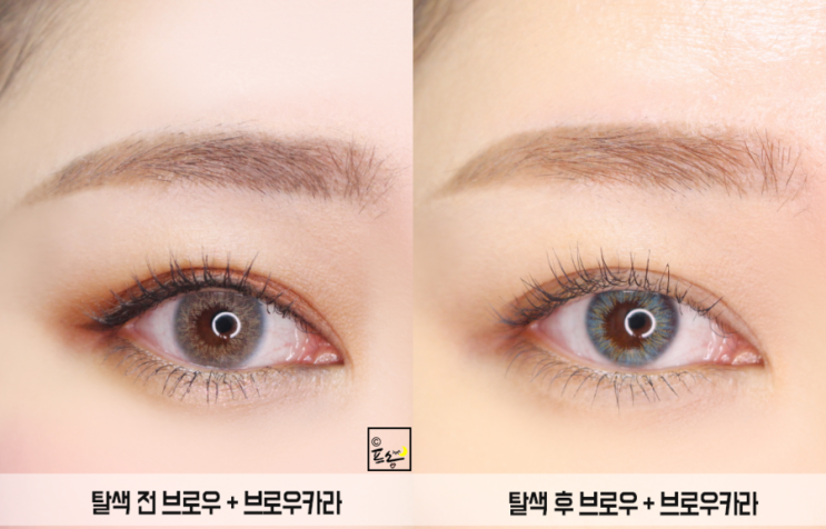 셀프 눈썹 염색은 엔트로피 블로 탈색 올리브영 최고의 아이템! 7