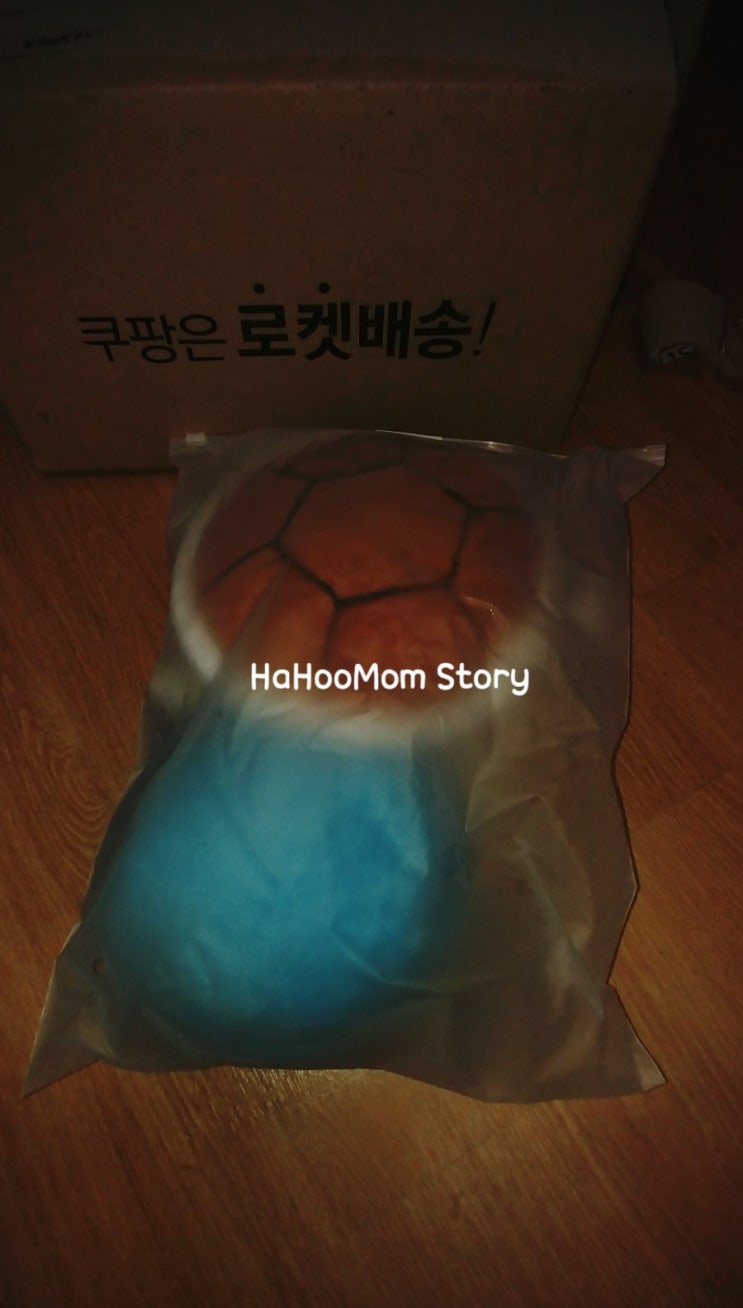  디온리원 뒤쿵방지 쿠션 쿵했쪄 아기 머리보호대/ 아기머리쿵보호대