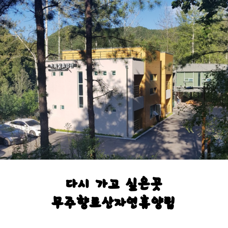  나만 알고 싶은 좋은 곳 무주향로산자연휴양림(가족,동창회,모임하기 좋은 장소)