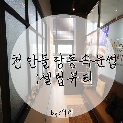  천안 불당동 속눈썹연장 셀럽뷰티 
