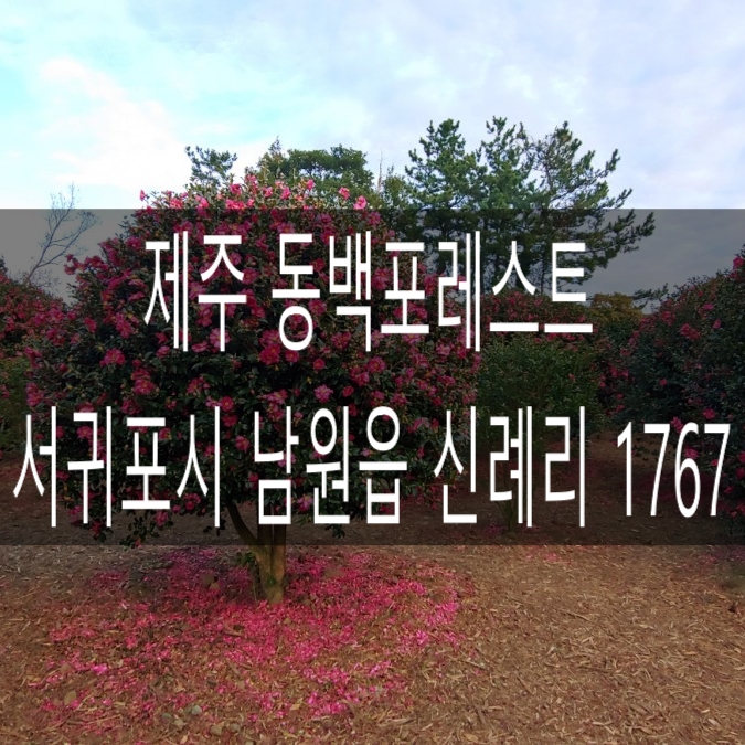  커피가게쉬고가게 / 동백포레스트 / 동백포레스트 주소