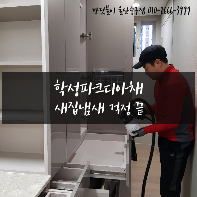  학성파크디아채 새집냄새 고민되시죠? 간편한 해결방법