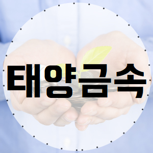  태양금속 주가, 세력들도 어쩔수 없었어.. 그만 장난쳐!