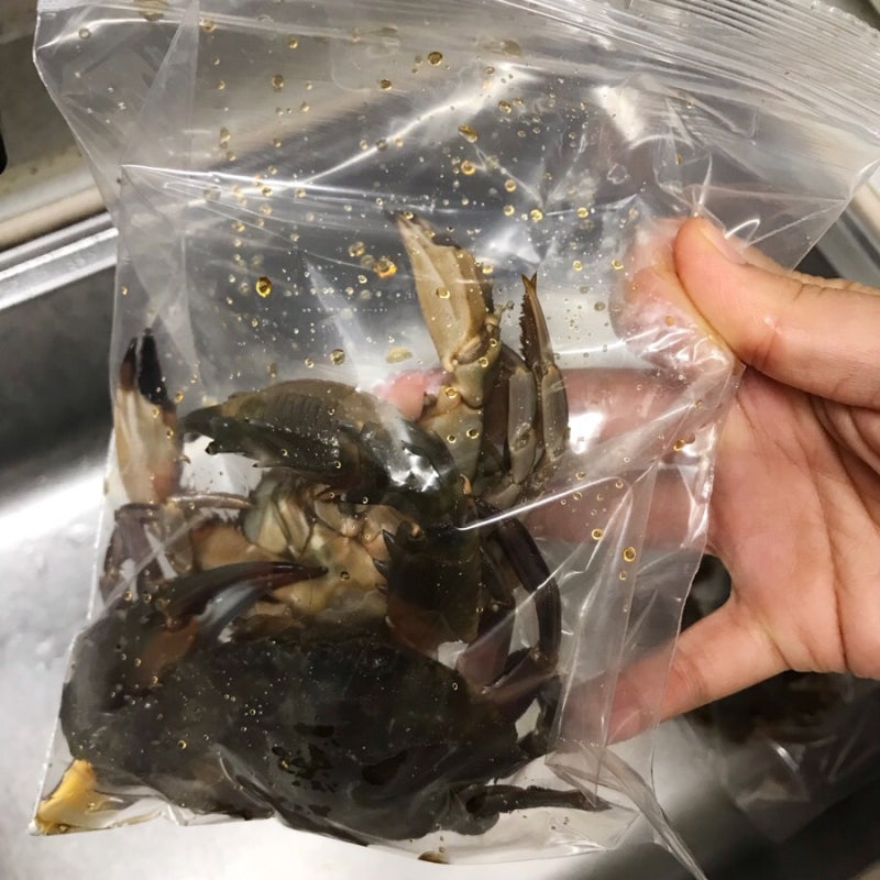 간장게장, 양념게장 : 보관기간, 보관방법