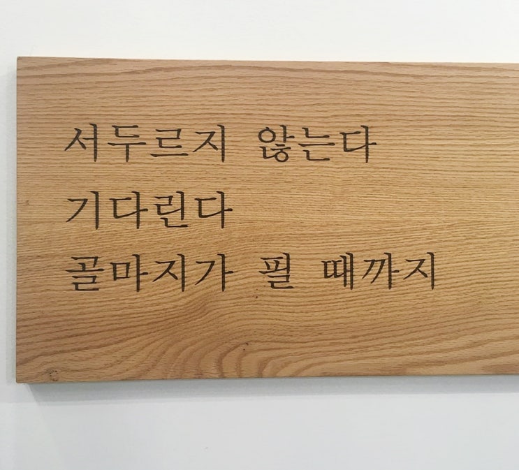  내년이면 17주년 대구맛집 사야까(さやか) , Since 2002