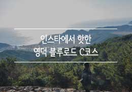  영덕 블루로드 C코스 | 영덕 가볼만한곳, 바다와 산 둘다 즐겨요!