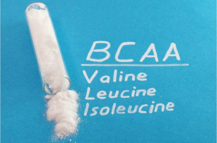 BCAA - 근성장 촉진, 근손상 방지, 피로 회복 BCAA - 근성장 촉진, 근손상 방지, 피로 회복