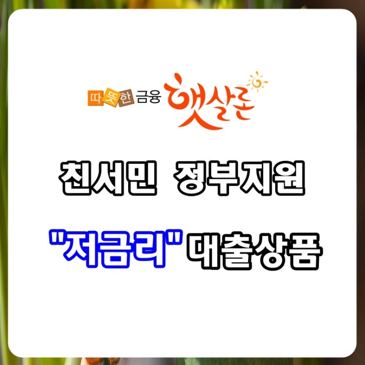 저소득,저신용-대표적 서민금융 "햇살론"