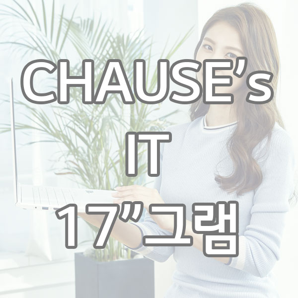  17" 2019 LG 그램의 스펙