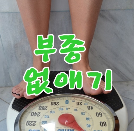 부종없애야 다이어트성공한다