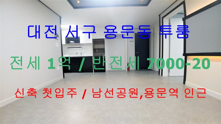 대전서구용문동투룸/용문역투룸/남선공원투룸/신축첫입주/전세,반전세가능