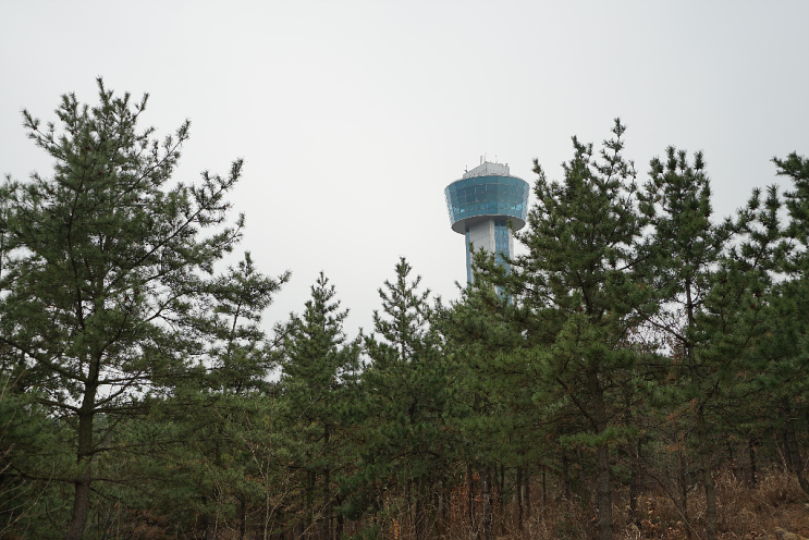 울산 가볼만한곳 동구 울산대교 전망대