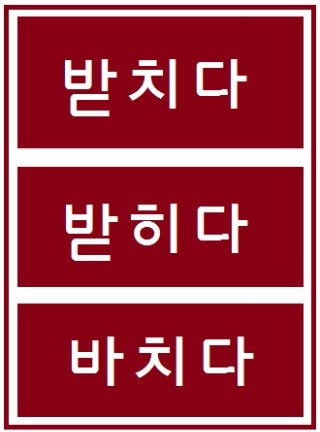  동음이의어 2) 받치다 / 받히다 / 바치다 /밭치다