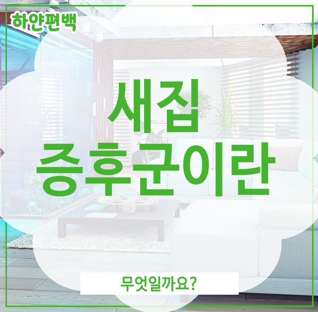  새집증후군이란, 무엇일까요?