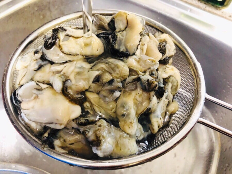 통영 생굴의 감동 : 생으로도 먹고 데쳐서도 먹고 통영 생굴의 감동 : 생으로도 먹고 데쳐서도 먹고