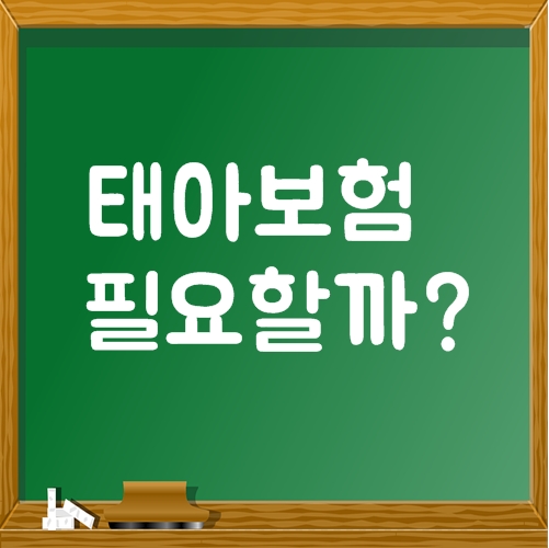  아기보험(태아보험) 꼭 가입 해야할까?