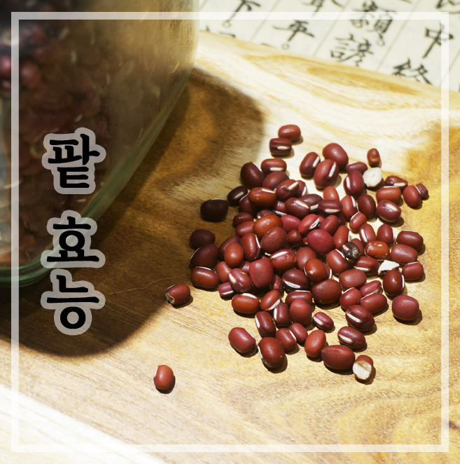  동지 맞이 팥 효능 알아봐요 :: 토종 팥 맛도 모양도 특별해