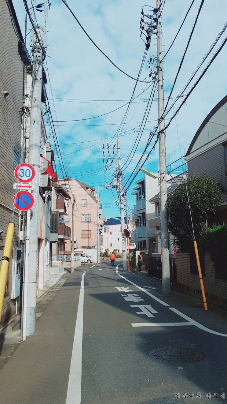  [일본워홀] 172日 산책 / 팽이버섯 샌드위치