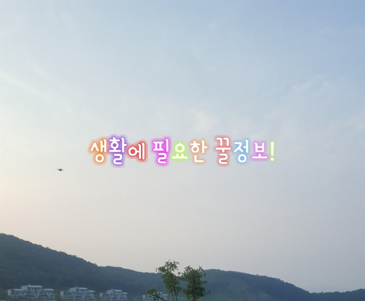 알아두면 언젠가는 써먹는 생활정보 꿀팁공유! 알아두면 언젠가는 써먹는 생활정보 꿀팁공유!
