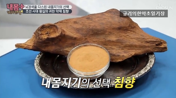  혈관질환 뇌건강 뇌경색 뇌졸중 중풍 침향 효능