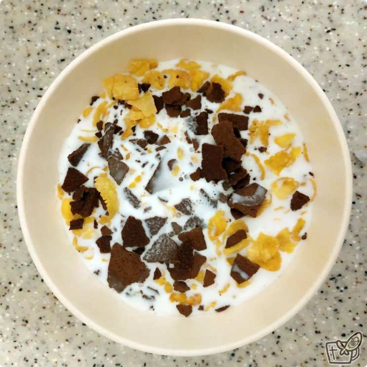  맛없는 카카오닙스 대신 카카오 칩스에 우유!