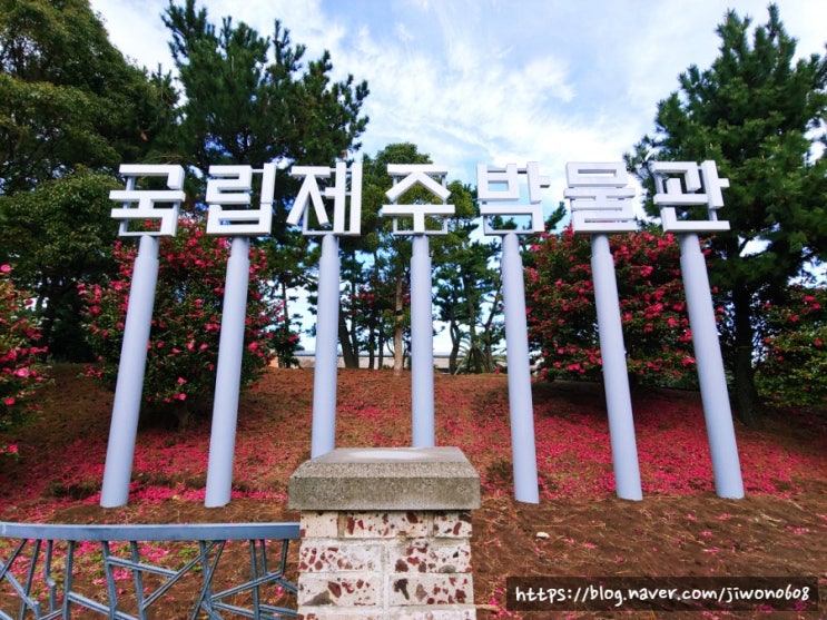  국립제주박물관 / 함덕해수욕장 / 스위스마을