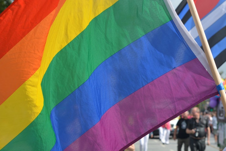  2342 강 반골기질