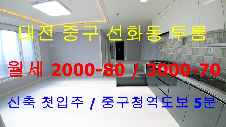  대전중구선화동투룸/중구청역인근투룸/선화동투룸/화장실2