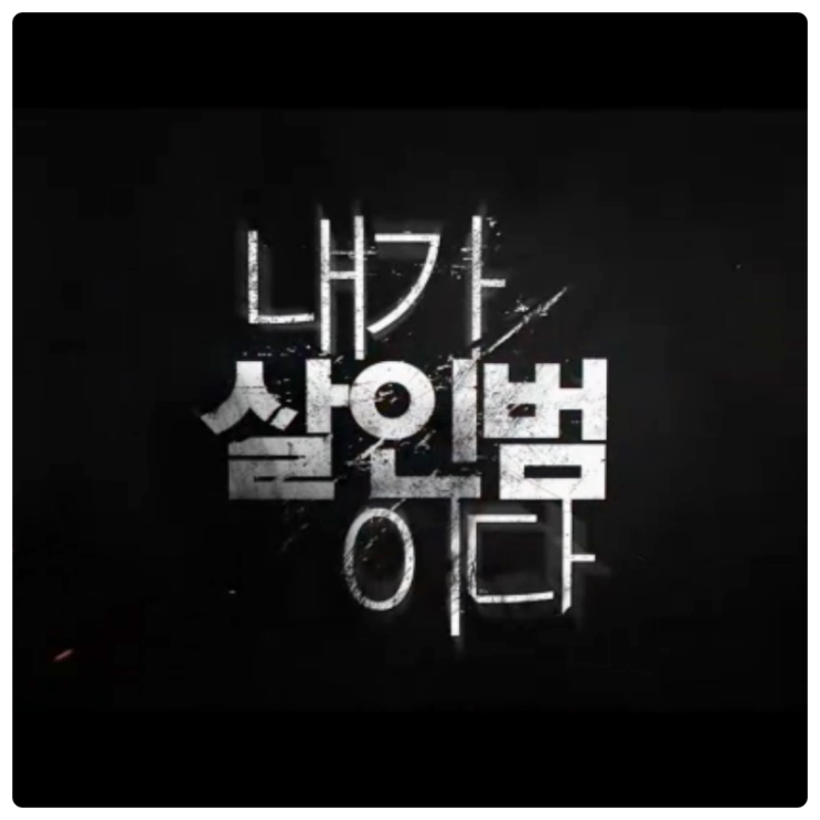  내가 살인범이다 결말 포함 줄거리