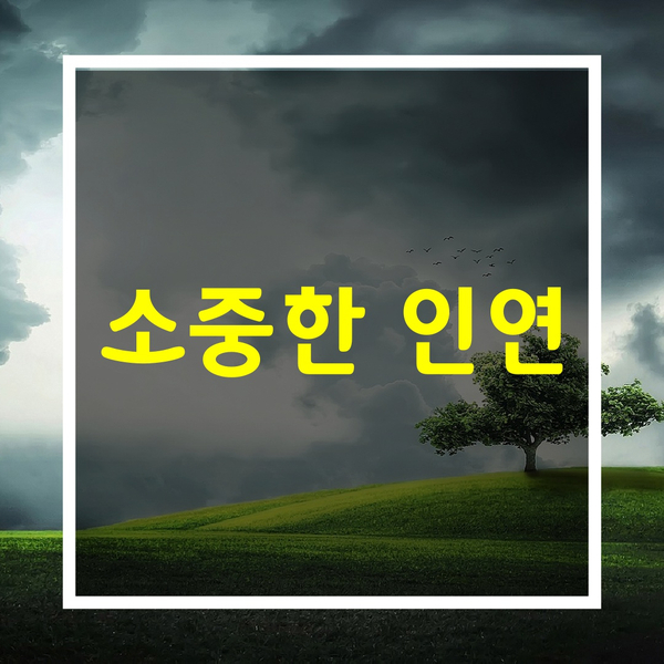  좋은글모음 [인연의 소중함]