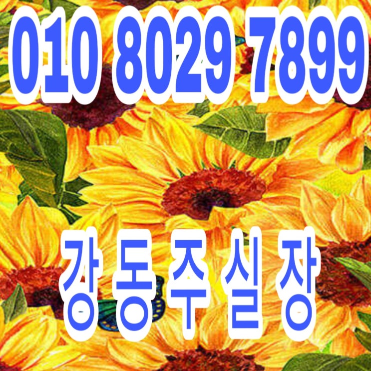  선착순 동호지정계약중ㅡ이진젠시티개금2018년 동지 팥죽 뿌리는 시간대; 12월22일 토요일 오전7시22분