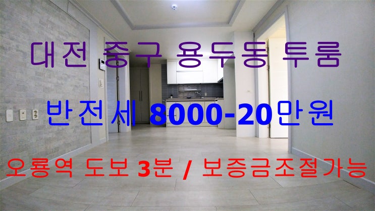  대전중구용두동투룸/용두동투룸반전세/용두동투룸/오룡역투룸/오룡역반전세