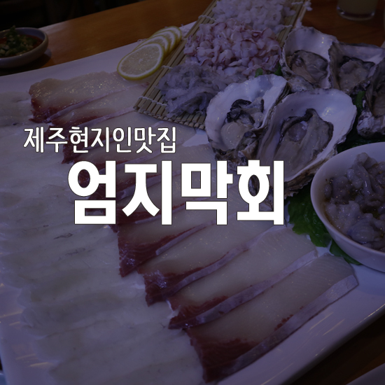  제주현지인맛집 엄지막회 가성비 갑 제주횟집 정말 최고 b