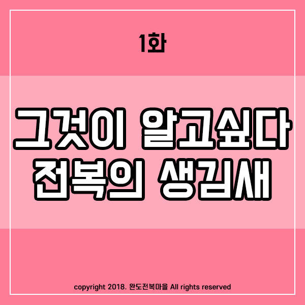  전복의 생김새, 그것이 알고 싶다.